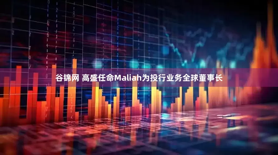 谷锦网 高盛任命Maliah为投行业务全球董事长