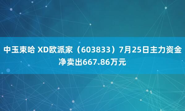 中玉束哈 XD欧派家（603833）7月25日主力资金净卖出667.86万元