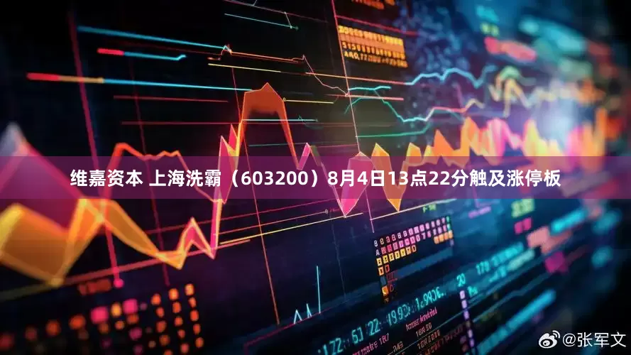 维嘉资本 上海洗霸（603200）8月4日13点22分触及涨停板