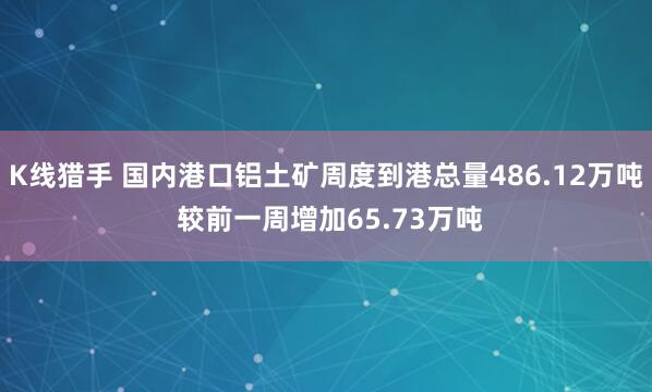 K线猎手 国内港口铝土矿周度到港总量486.12万吨 较前一周增加65.73万吨
