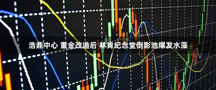 浩鼎中心 重金改造后 林肯纪念堂倒影池爆发水藻
